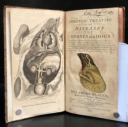 BLAINE, Delabere. A Domestic Treatise on the Diseases of Horses and Dogs....