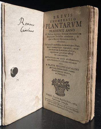 CAVALLINI, Filippo. Brevis enumeratio Plantarum praesenti anno a publico...