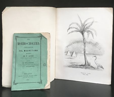[ELETTRO MAGNETISMO E MEDICINA]. Il morbo-cholera curabile col magnetismo di...