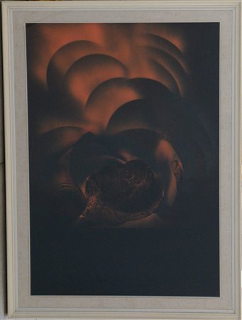 Jean Triffez (Belgio 1931 - Roma 1983)"Afin de depouiller l'illusion"...