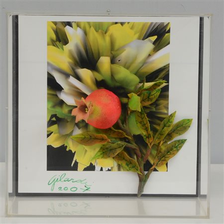 Piero Gilardi (Torino 1942)"Melograno bioinformatico" 2007fotografia e...