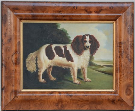 Ignoto, "Cane" olio su tela (cm 28x38), in cornice radicata