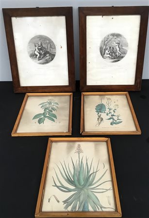 Lotto composto da tre riproduzioni di stampe di soggetto botanico e due...