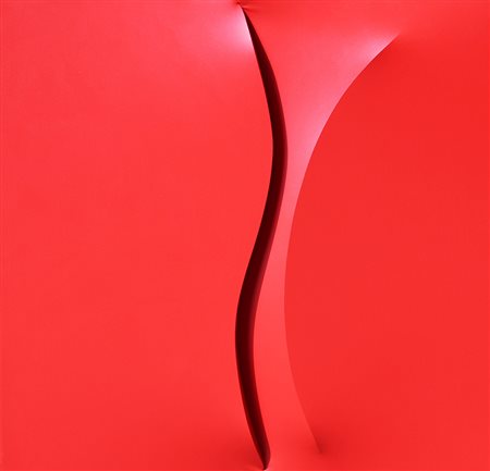 Giuseppe AMADIO (Todi 1944-05-19) Garre 2016 acrilico su tela estroflessa cm....