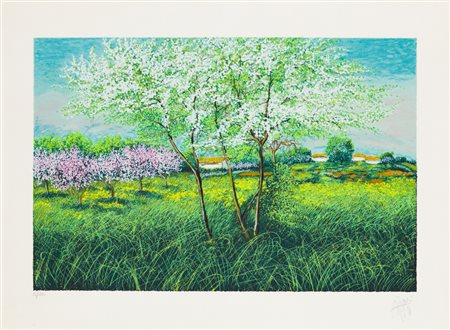 FRANCO AZZINARI (1949)Senza TitoloSerigrafiacm 58x78Firma e numerazione...