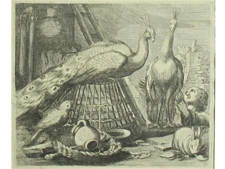 Cinque stampe raffiguranti cavalli, mucche,maiale, pavoni ed oche XVIII sec....