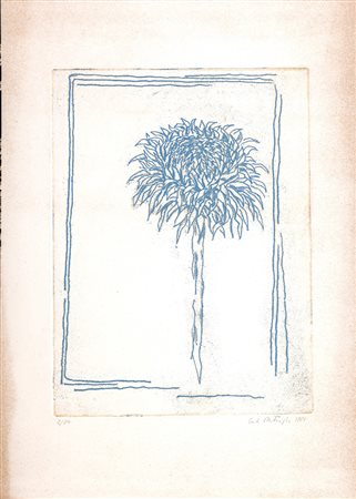 Carlo Battaglia, Girasole 1981 Acquaforte/Acquatinta, cm 35,5x25