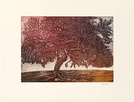 Franco Mulas, ALBERO Acquaforte/Acquatinta, 30x40