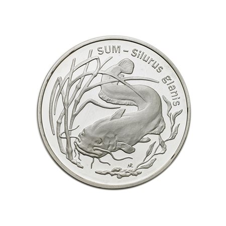 POLONIARepubblica.20 zlotych 1995/Pesce siluro.Y.290. AG. PROOF.