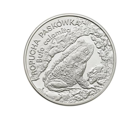 POLONIARepubblica.20 zlotych 1998/Rospo. Y. 343. AG. FDC/PROOF.