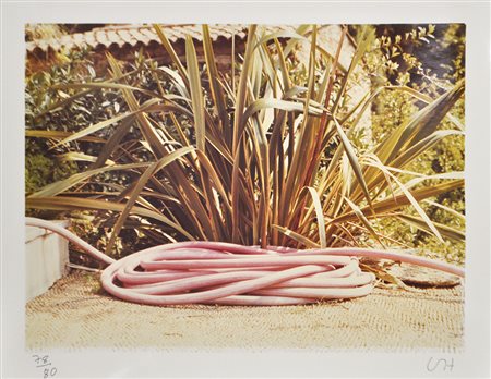David Hockney (Bradford 1937) Pink Hose, 1974;Fotografia a col., 18 x 23,5 cm...