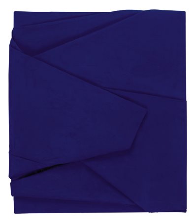 CESARE BERLINGERI Cittanova (Rc) 06/03/1948 Piegato oltremare, 2007 olio e...