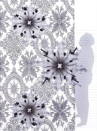 CLAUDIA SCARSELLA Viterbo 17/10/1979 Racconto di GF, 2012 collage, tecnica...