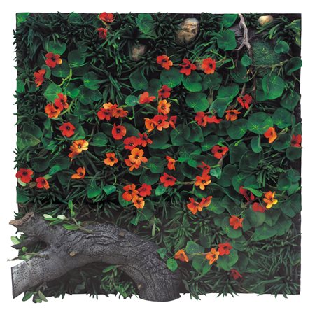 PIERO GILARDI Torino 03/08/1942 Fiori di Nasturzia, 1999 poliuretano espanso...