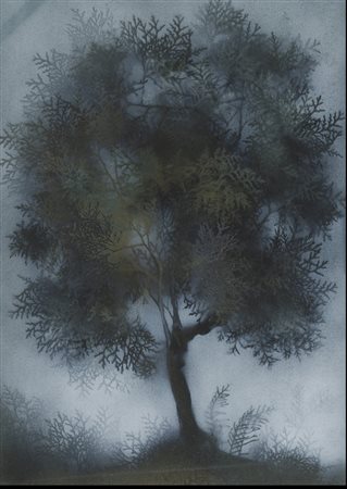 Cagli Corrado tecnica mista su cartoncino 50x70 albero 1960
