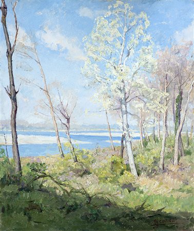 Luigi Comolli (Milano 1893 - 1976)"Paesaggio sul Ticino" 1937olio su...