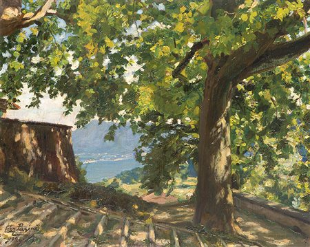 Lazzaro Pasini (Reggio Emilia 1861 - Milano 1949)"Platano centenario"...