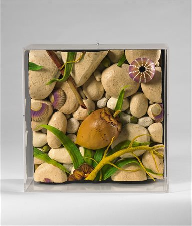 GILARDI PIERO (n. 1942) Piccola spiaggia con cocco. 2008. Poliuretano. Cm...