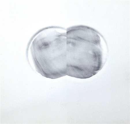 Roni Horn 1955, New York - [USA] Her, Her, Her & Her litografia 15x15 cm 2004...