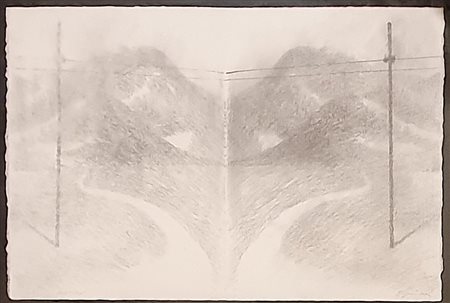 GALLIANI OMAR (1954) Senza titolo Grafite su carta 38,5x57 cm Firma in basso...