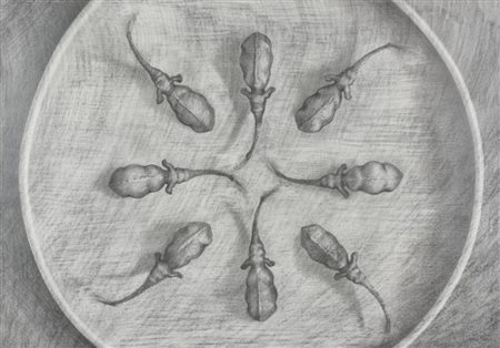 Robin Heidi Kennedy SENZA TITOLO tecnica mista e pastello su carta, cm 70x100...