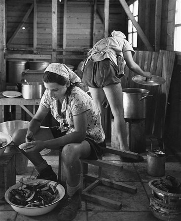 Robert Capa (1913 - 1954)Israel, the new settlements: Ain Geb, Negba,...