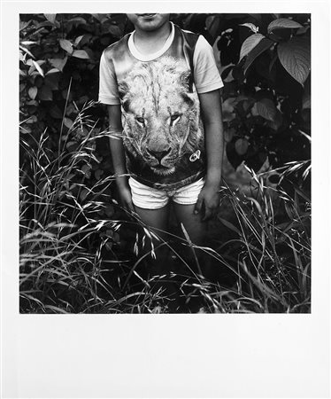 Issei Suda (1940 0)Lion 1970 ca.Stampa fotografica vintage alla gelatina sali...