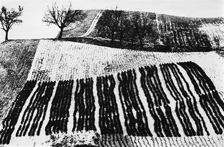 Mario Giacomelli (1925 - 2000)Paesaggio 1980 ca.Stampa fotografica vintage...