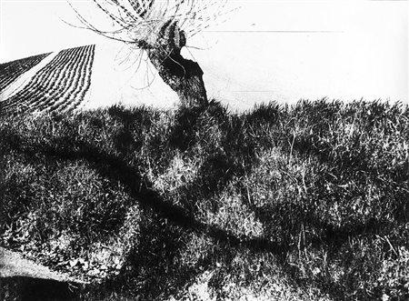 Mario Giacomelli (1925 - 2000)Paesaggio 1980 ca.Stampa fotografica vintage...