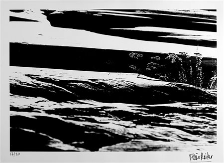 Fulvio Roiter (1926 - 2016)Astrazione 1980Stampa fotografica Lambda in bianco...