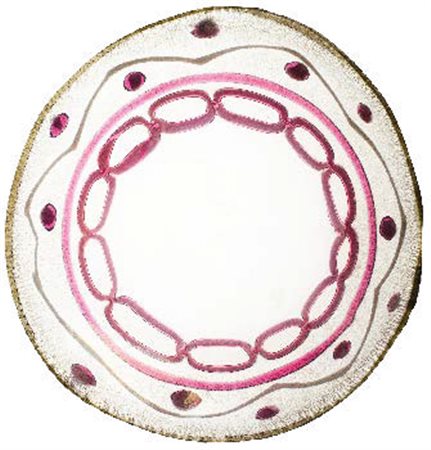 MANIFATTURA MURANESE Piatto con decoro applicato nei toni del ciclamino con...