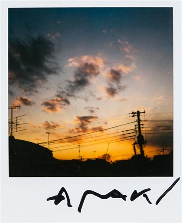 NOBUYOSHI ARAKI (1940)Senza TitoloPolaroidcm 10,8x8,9Firma al...