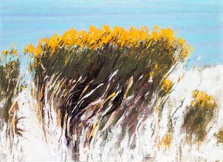 GIANCARLO CAZZANIGA (1930-2013)Ginestra, anni '90Olio su telacm 116x160Firma...