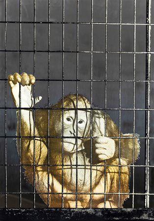 Michelangelo Pistoletto (1933) Scimmia in gabbia, 1962-1973 serigrafia su...