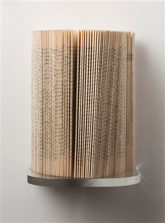 Stefano Arienti Senza titolo 1989 libro cm 24x18 (in teca di...