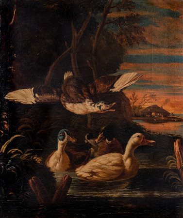 ARTISTA DEL XVII SECOLO Folaghe in un paesaggio boscoso. Olio su tela . Cm...