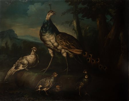 GIOVANNI CRIVELLI DETTO IL CRIVELLINO (1690 - 1750) Pavoni in un paesaggio....