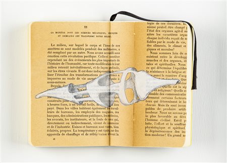 Michelangelo Penso 1964 Physiques et chimiques ont transformé notre milieu -...