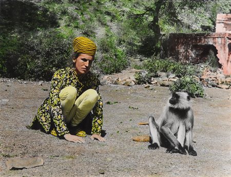 LUIGI ONTANI Monkey (Jaipur 1977) Fotografia a colori Anno 1977 Dim. 30x40...
