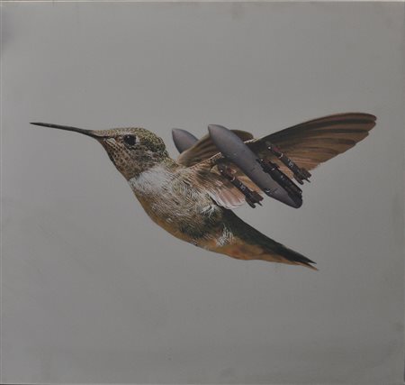 PEP MARCHEGIANI Colibomb Stampa quadricromica su acciaio mirror Anno 2017...