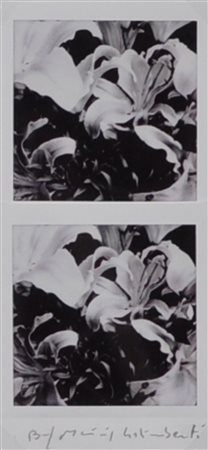 MAURIZIO GALIMBERTI BiFlowers Polaroid Dittico Anno 2017 Dim. 15,5x7,3...