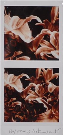 MAURIZIO GALIMBERTI BiFlowers Polaroid Dittico Anno 2017 Dim. 15,5x7,3...