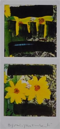 MAURIZIO GALIMBERTI BiFlowers Polaroid Dittico Anno 2017 Dim. 15,5x7,3...