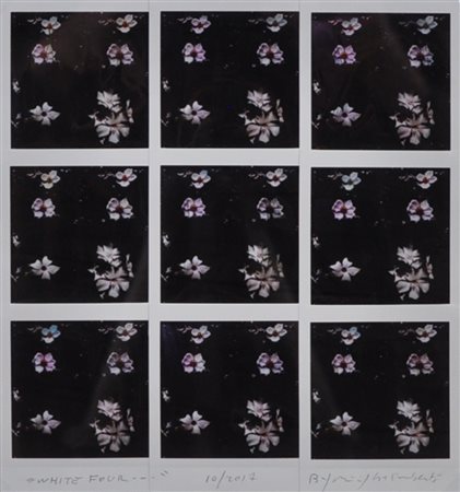 MAURIZIO GALIMBERTI Whitefour... Mosaico Polaroid Anno 2017 Dim. 22,5x20...