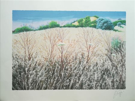 Franco Azzinari Cosenza 1949 “Senza titolo” Serigrafia su carta cm 60x80...