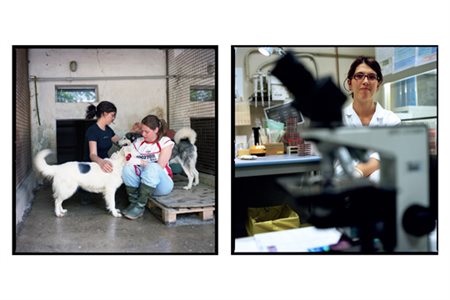 Silvia Morara Voluntas 2, 2008 Fotografia a colori su carta Fine Art Matte e...