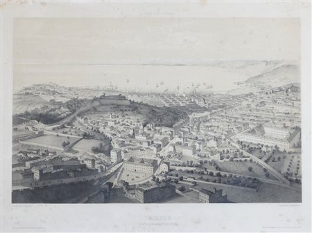 "Trieste dall'alto" cm. 38x52 - stampa