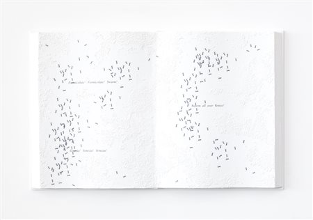 EMILIO ISGRÒ (1937)Formiche veneziane, 2006Acrilici, tela e legnoLibro cm...