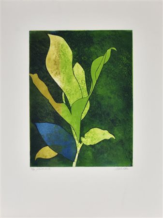 Walker PLANTE VERTE incisione su carta, cm 66x50 (lastra cm 39x30) esemplare...