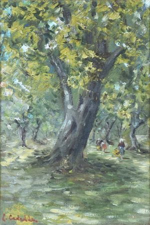 Cadeddu G. IL BOSCO olio su cartone, cm 30x20 sul fronte: firma